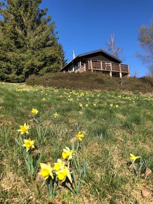 Le Chalet Des Coeurs Le Tholy Exterior foto